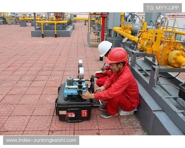 探讨凯时体育官网的安全性和可靠性分析